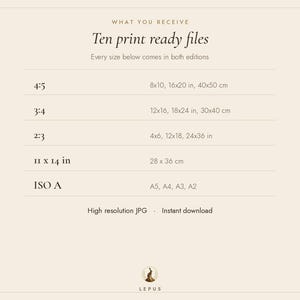 May include: A digital information chart titled What You Receive Ten print ready files. It lists five aspect ratios and sizes including 4:5, 3:4, 2:3, 11x14 in, and ISO A with corresponding dimensions in inches and centimeters. High resolution JPG.