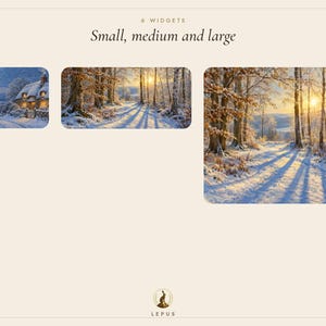 May include: A set of 6 widgets labeled Small, medium and large, featuring three rectangular images of winter landscapes. The images display a snow-covered cottage and sunlit, snow-dusted forests. The bottom includes a logo with the text LEPUS.