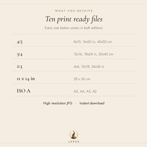 May include: A beige informational graphic titled 'WHAT YOU RECEIVE Ten print ready files' listing aspect ratios and dimensions including 4:5 (8x10, 16x20 in), 3:4 (12x16, 18x24 in), 2:3 (4x6, 12x18, 24x36 in), 11x14 in, and ISO A sizes A5, A4, A3, A2.
