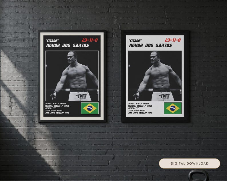Peut inclure: Deux affiches encadr&eacute;es identiques pr&eacute;sentant une photographie en noir et blanc de Junior Dos Santos. Le texte inclut son surnom Cigano, son palmar&egrave;s 23-11-0, sa taille 193cm, son poids 120kg, son allonge 196cm, sa garde orthodoxe et le drapeau br&eacute;silien.