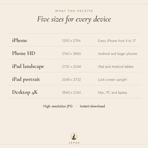 May include: A digital information chart titled What You Receive, Five sizes for every device. It lists five categories: iPhone 1290 x 2796, Phone HD 2160 x 3840, iPad landscape 2732 x 2048, iPad portrait 2048 x 2732, and Desktop 4K 3840 x 2160.