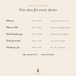 May include: A digital information chart titled WHAT YOU RECEIVE Five sizes for every device. It lists iPhone 1290 x 2796, Phone HD 2160 x 3840, iPad landscape 2732 x 2048, iPad portrait 2048 x 2732, and Desktop 4K 3840 x 2160.