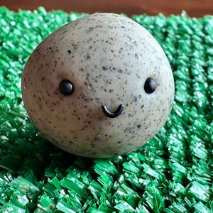 Rock Pet comes with adoption certificate and mini chocolate bar, desk pet. (Original or with bow)