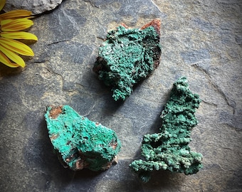 Raw malachite on matric natural mineral crystal curiosity specimen