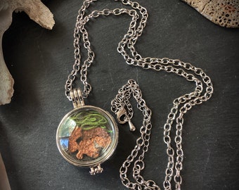 Curiosity locket necklace natural native copper moss natural artifact treasure keeper necklace silver toned adjustable pendant necklace