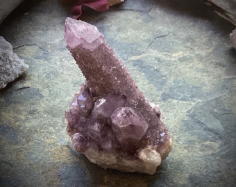 Amethyst crystal spirit cactus quartz cluster dark purple natural multiple points natural curiosity mineral specimen