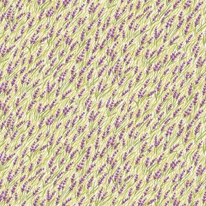 Carte postale orchidées des marais des Highlands A par Liberty Fabrics pour Riley Blake Designs | 01667366A