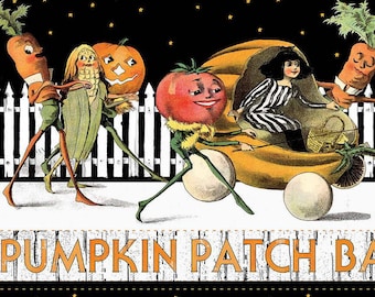 Pumpkin Patch White Dance Border Stripe Yardage by J Wecker Frisch for Riley Blake Designs |CD14753 WHITE | Repeating Border Stripe Fabric