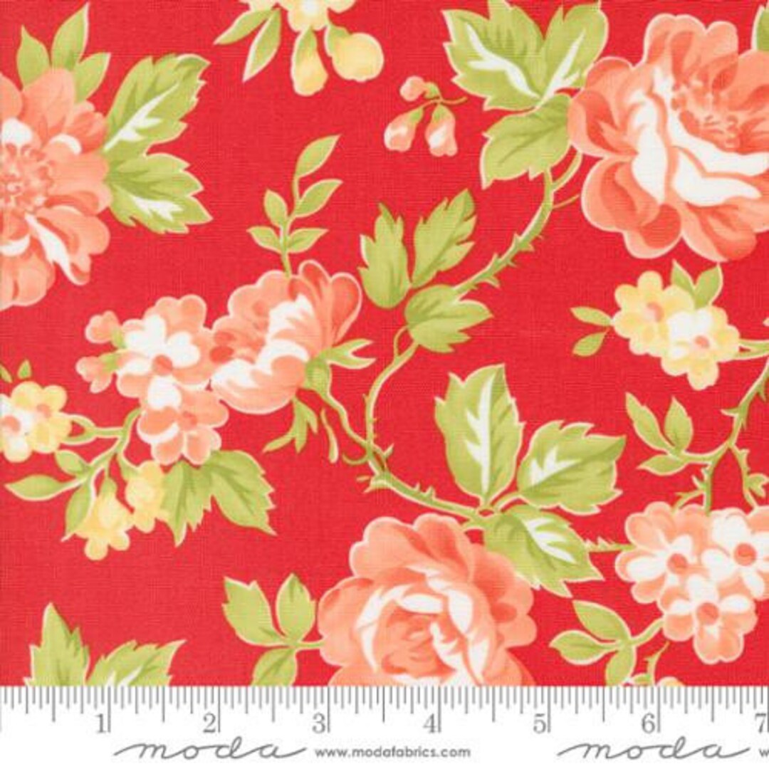 Jelly and Jam 108 Strawberry Wideback REMNANT by Fig Tree for Moda ...