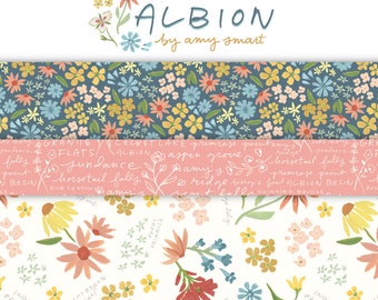 Albion 10" Stacker by Amy Smart for Riley Blake Designs | 10-14590-42 Precut Fabric Bundle