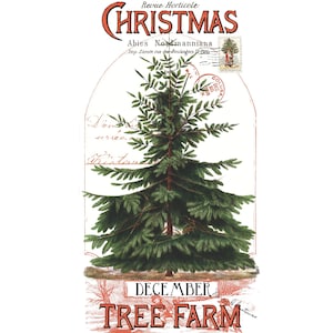Classic Christmas Christmas Botanical Main Panel by J. Wecker Frisch for Riley Blake Designs | Panel Size 24&quot; x 43&quot; | PD16280-PANEL