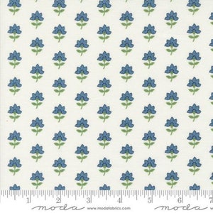 Shoreline Cream Multi Coastal Yardage by Camille Roskelley for Moda Fabrics 55301 11 image 1