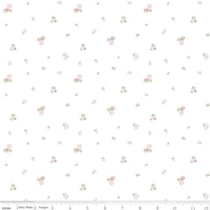 Hush Hush 3 Blooms and Mushrooms Yardage by Tasha Noel Collaborative Collection for Riley Blake Designs | C14072 BLOOMS