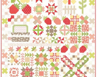 PRESALE Strawberry Garden Quilt Kit using Jelly and Jam Fabrics by Fig Tree for Moda Fabrics | 60" x 70" | Block of the Month Sampler