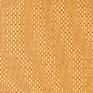 Raspberry Summer Apricot Yardage by Sherri & Chelsi for Moda Fabrics | 37696 24