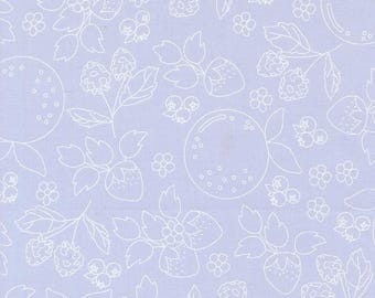 Fruit Salad Fruit Sketch Light Blue Yardage by Corey Yoder for Moda Fabrics | 29241 22