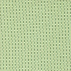 Raspberry Summer Beaded Mint Yardage by Sherri & Chelsi for Moda Fabrics | 37696 25