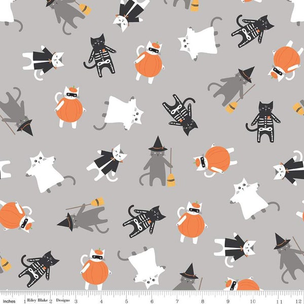 Hey Bootiful Gray Main Yardage by My Mind's Eye for Riley Blake Designs |C13130 GRAY