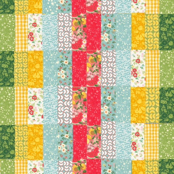 Sweet Summer Swatch Quilt Kit using Fruit Loop fabric by BasicGrey by Moda Fabrics | 48" x 60"