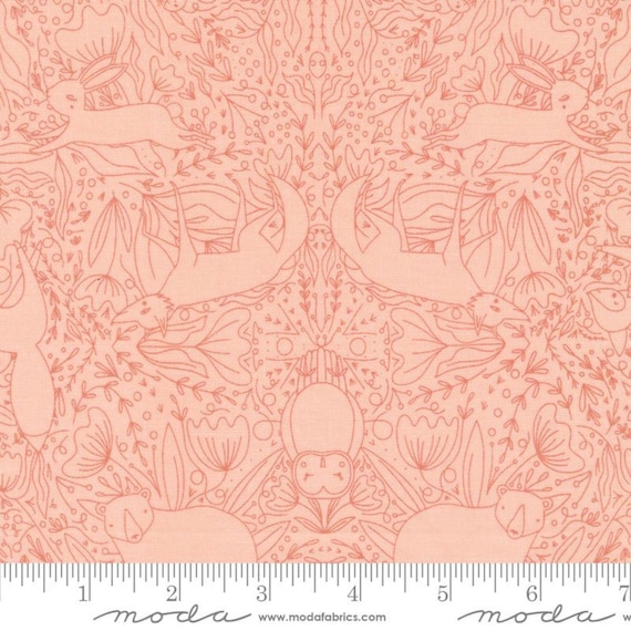 Woodland Wonder: Frolic in Blush Woodland Wonder: Frolic in Blush