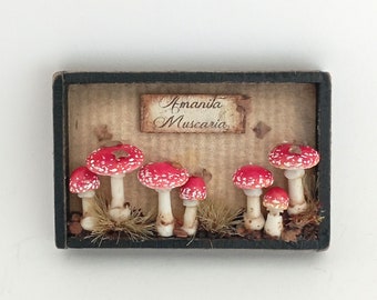 1:12 th scale collection of Amanita Muscaria