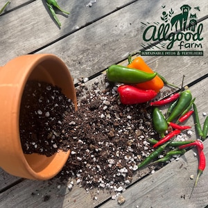 May include: A terracotta plant pot lies on its side, spilling soil onto a wooden surface, with a selection of colourful peppers scattered around. The peppers are green, red, and orange. The image includes the text "Allgood Farm: Sustainable Feeds & Fertilisers."