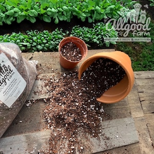 May include: A brown bag of potting mix labelled "Allgood Farm Basics Potting Mix with Perlite" is spilling out onto a wooden surface. A small terracotta pot with potting mix inside is next to the bag. A larger terracotta pot is tipped over, spilling the potting mix onto the surface. The bag is labelled with the text "Allgood Farm Sustainable Feeds & Fertilizers".