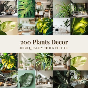 Grüne Blätter Pflanzen Stock Bilder - Natur Foto Bundle (Digitaler Download)