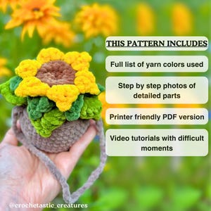 4 in 1 Potted Plants Crochet Pattern | Amigurumi potted plants pattern | The Violet | The White flower | The Sunflower | The Dahlia Crochet image 6