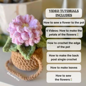 4 in 1 Potted Plants Crochet Pattern | Amigurumi potted plants pattern | The Violet | The White flower | The Sunflower | The Dahlia Crochet image 7