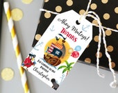 Editable Pirate Favor Tag Thank you Tag Boy Birthday Gift Tag Costume Party Tag Kids Party Tag 1st 2nd 3rd 4th Download Printable Tag Corjl