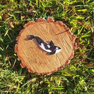 Pu&ograve; includere: Una toppa ricamata di una balena orca in bianco e nero su una superficie di legno. L'orca sta nuotando verso destra.