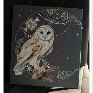 Könnte beinhalten: Ein Kreuzstich-Stickmuster mit einer weißen Eule, die auf einem Halbmond sitzt, vor einem dunkelgrauen Hintergrund. Die Eule hat braune Augen und ein detailliertes Design. Der Mond ist mit weißen und goldenen Perlen und einem floralen Muster verziert. Der Hintergrund ist mit weißen Sternen übersät.