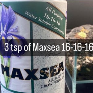 Maxsea 16-16-16 Carnivorous Plant Water-Soluble Fertilizer/Food (Makes 12 Gallons)