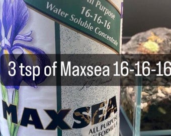Maxsea 16-16-16 Carnivorous Plant Water-Soluble Fertilizer/Food (Makes 12 Gallons)