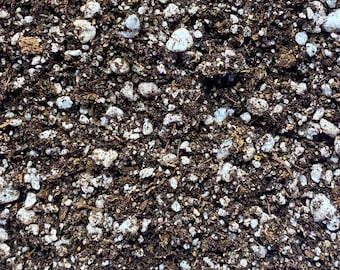 Carnivorous Plant Soil Mix - Peat Moss / Perlite / Silica Sand (Sandwich Bag)