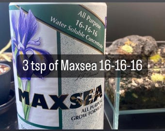 Maxsea 16-16-16 Carnivorous Plant Water-Soluble Fertilizer/Food (Makes 12 Gallons)