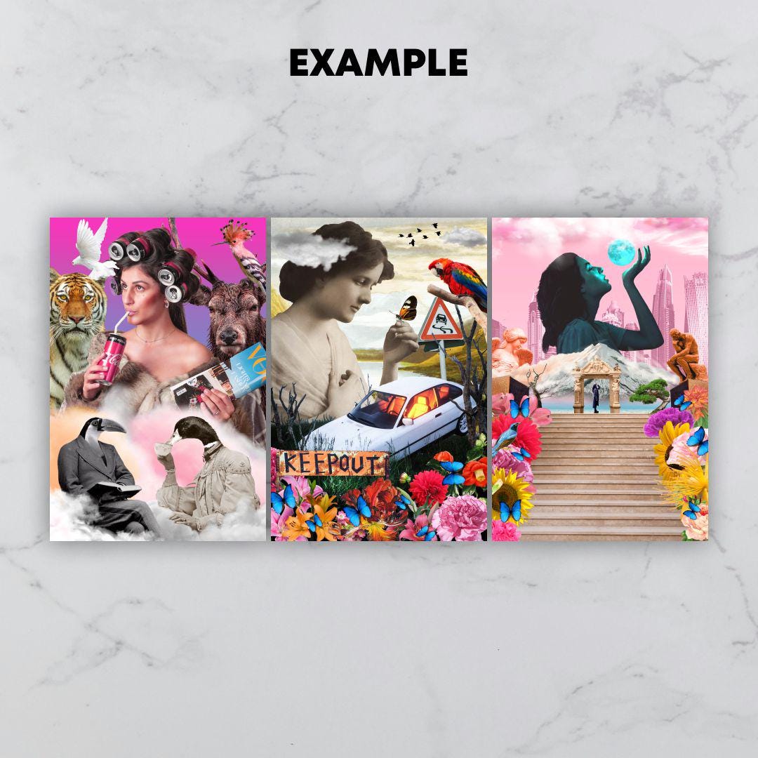 Bundle of Element Collage, Graphics, Icon, and Symbols | Equality and ...