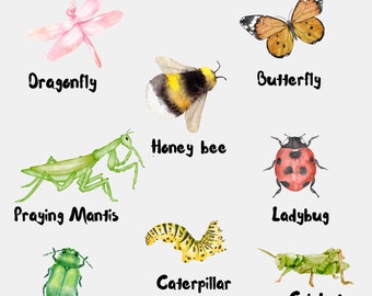 Insects Poster - Etsy