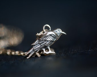 Silver Raven Necklace - Silver Bird Necklace, Crow Charm Necklace,  All Seeing Raven Jewelry. Sterling Raven Pendant. Norse Mythology gift.