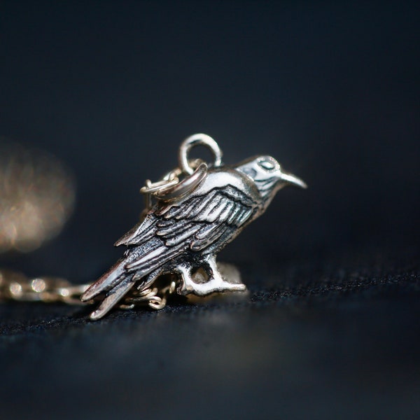 Silver Raven Necklace - Silver Bird Necklace, Crow Charm Necklace,  All Seeing Raven Jewelry. Sterling Raven Pendant. Norse Mythology gift.