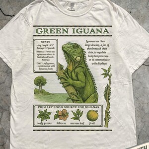 Puede incluir: Camiseta de color marfil con una ilustración detallada de una iguana verde. El diseño incluye información científica sobre la iguana, su hábitat y dieta. El texto "GREEN IGUANA" se muestra en la parte superior.