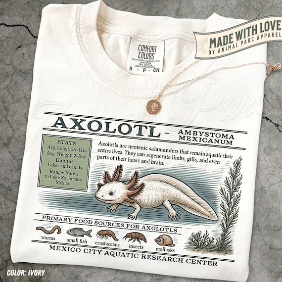 Axolotl Shirt, Amphibian Graphic Tee Salamander T-Shirt, Zoology Biology Teacher Tee, Animal Graphic Top Aquatic Pet Shirt, Vintage Axolotl