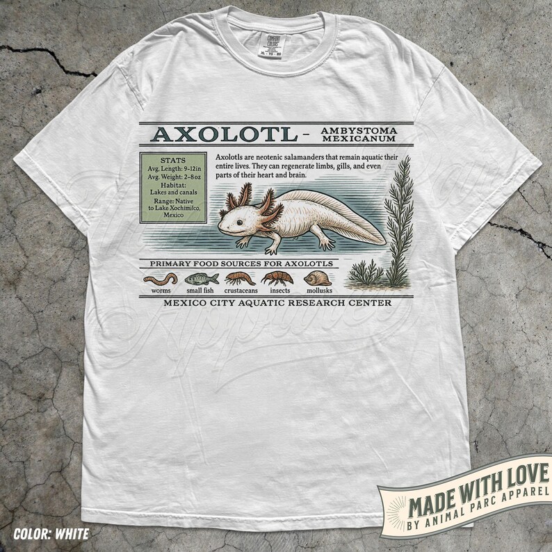 May include: White t-shirt with an axolotl illustration and the text "AXOLOTL - AMBYSTOMA MEXICANUM". The shirt details the axolotl's average length (23-30 cm) and weight (57-227 grams). It also lists the axolotl's habitat and primary food sources, with the text "MADE WITH LOVE".