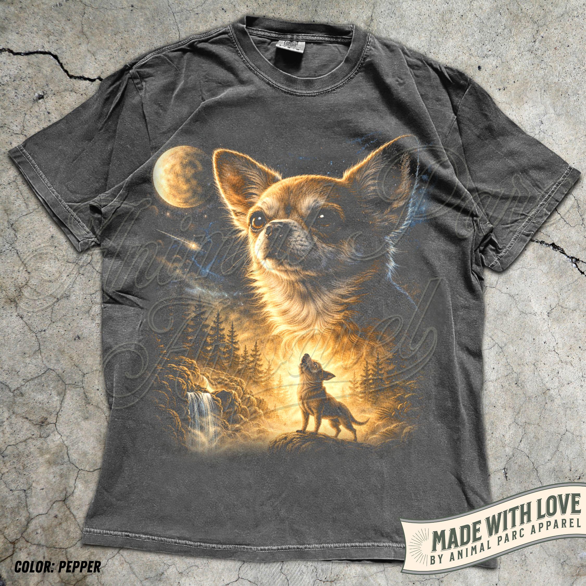 CHIHUAHUA (CUCCIOLI ED ADULTI)SOLO DA ALLEVAMENTI