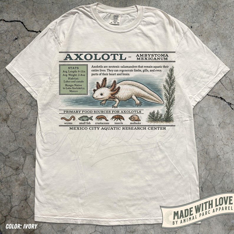 May include: Ivory t-shirt with an axolotl graphic and scientific information. The design includes the axolotl's average size, weight, habitat, and food sources. The shirt also has the text "MADE WITH LOVE BY ANIMAL PARC APPAREL."