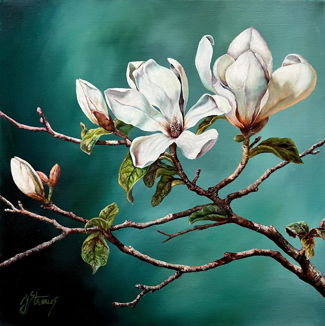Original Oil Painting of Elegant White Magnolia Blossoms - Etsy