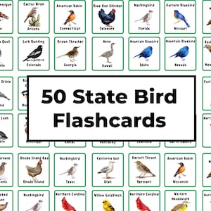 Tarjetas didácticas con las 50 aves estatales de EE. UU. / Conozca las aves de los Estados Unidos de América / Datos curiosos sobre Estados Unidos / 50 aves de los Estados Unidos / Observación de aves