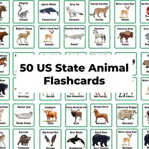 50 US State Animal Flashcards | Learn the Animals of the United States of America | American Fun Facts, Learning Aid | 50 US State Animal