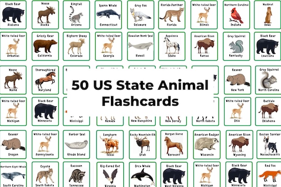 State Animals Of United States Fifty State Animals